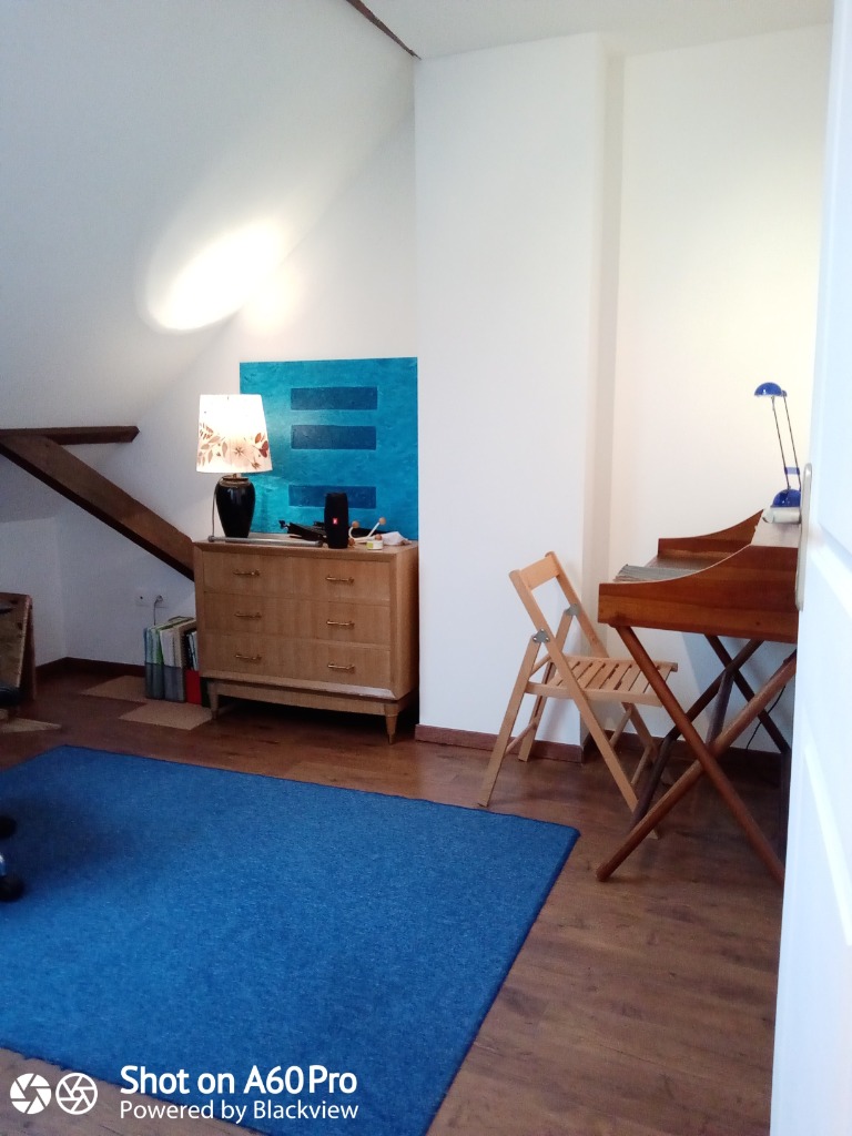 Duplex 3 chambres quartier gambetta Photo 3 - JLW Immobilier Duplex 3 chambres quartier gambetta Photo 3 - JLW Immobilier
